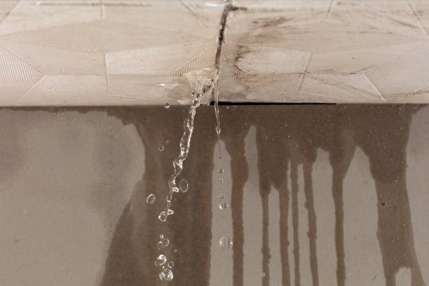 Professional Water Damage Repair technician working in Sulphur Springs, IN